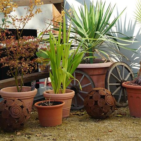 Pension Zum Birnbaum Brandenburg  Ngoại thất bức ảnh